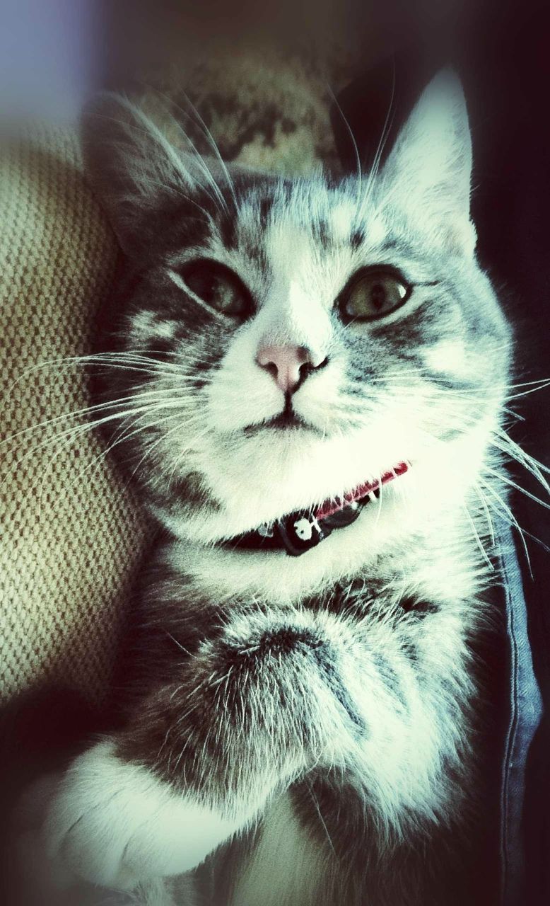 Игорь Быков | Казань