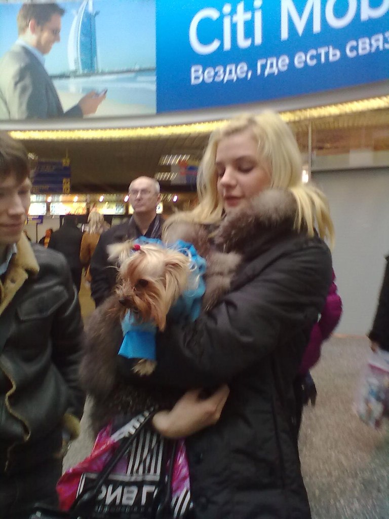 Мария Зажигалкина | Санкт-Петербург