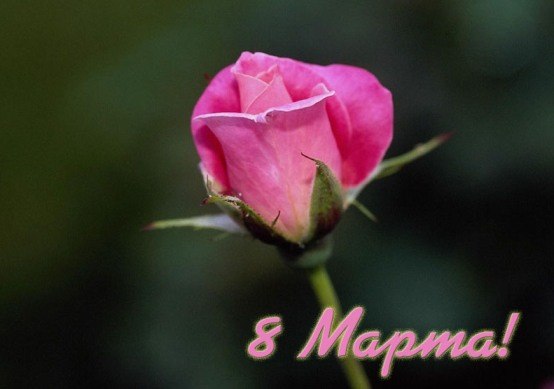 Елена Митюкова | Москва