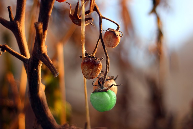 Кирилл Архаров | Санкт-Петербург