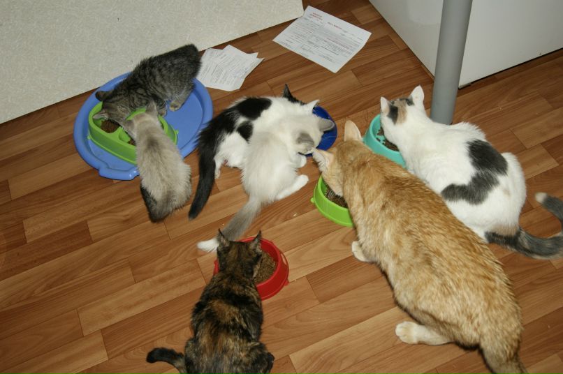 Анастасия Первакова | Тюмень