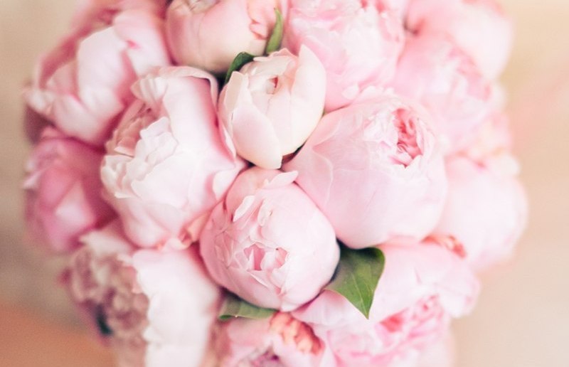 Эльвира Сатылканова | Бишкек