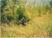Алексей Волостнов фотография #7