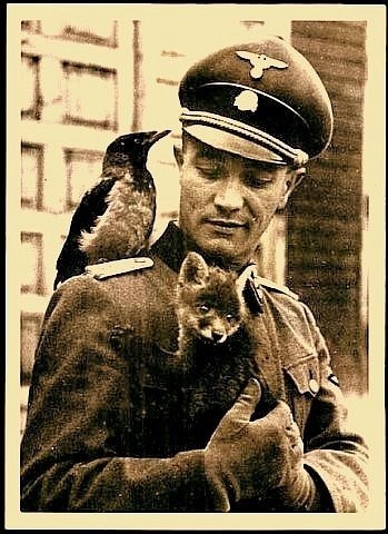 Паша Цветомузыка | Ярославль