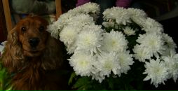 №21 Маша Чачик 16.08: профиль, фото, статус - ВКонтакте