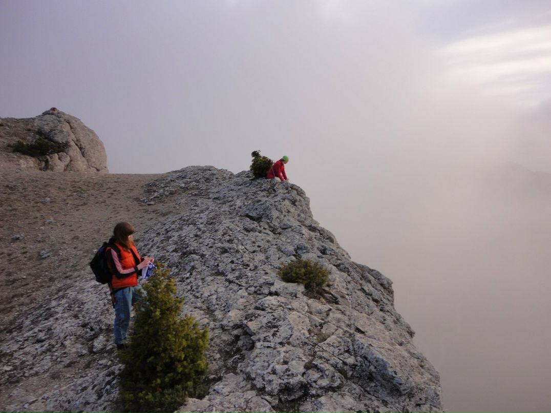 Катерина Свиридова | Москва