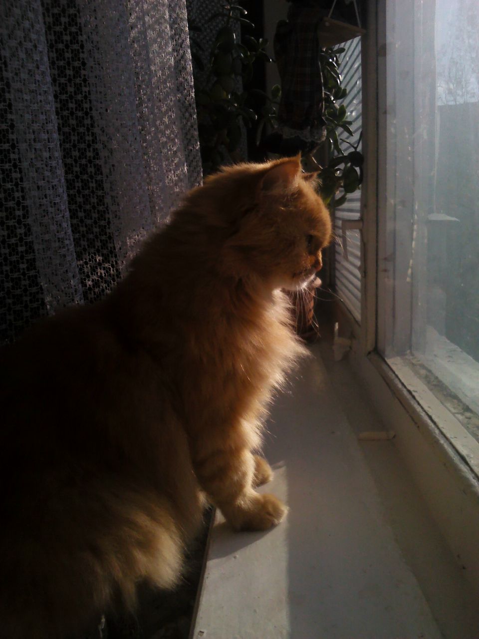 Алина Косачёва | Кишинев