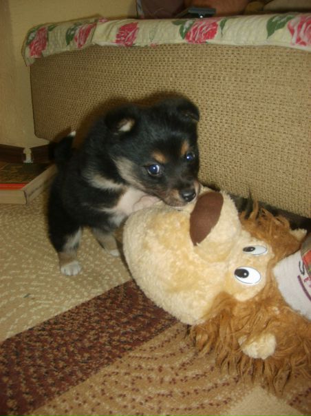 №7, Марта Ткаченко, 38 лет, Жовква №7, Марта Ткаченко, 38 лет, Жовква