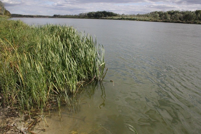 Маргарита Иванова | Москва