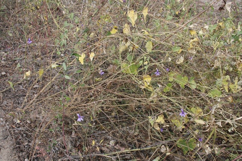 Маргарита Иванова | Москва