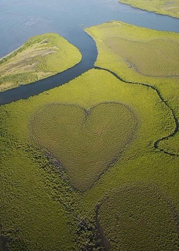 Чен Чень | Харьков
