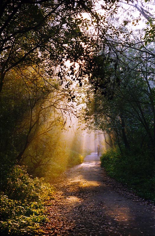 Андрей Забавин | Краснодар
