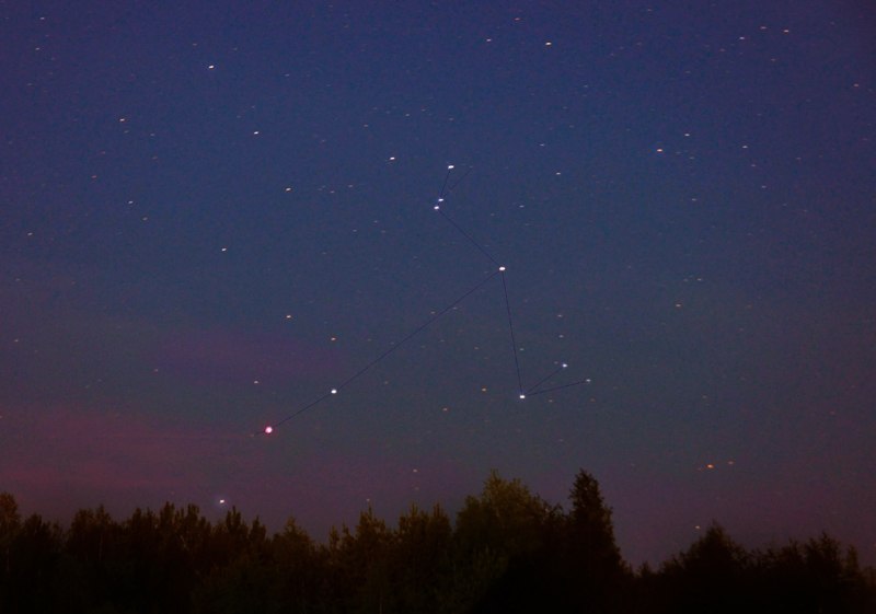 Иван Дангауер | Ковров