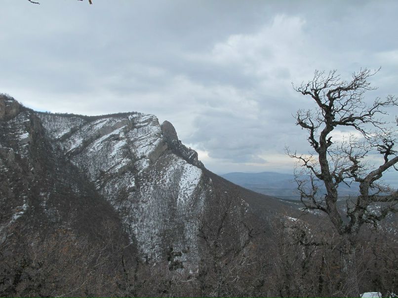 Игорь Баженов | 