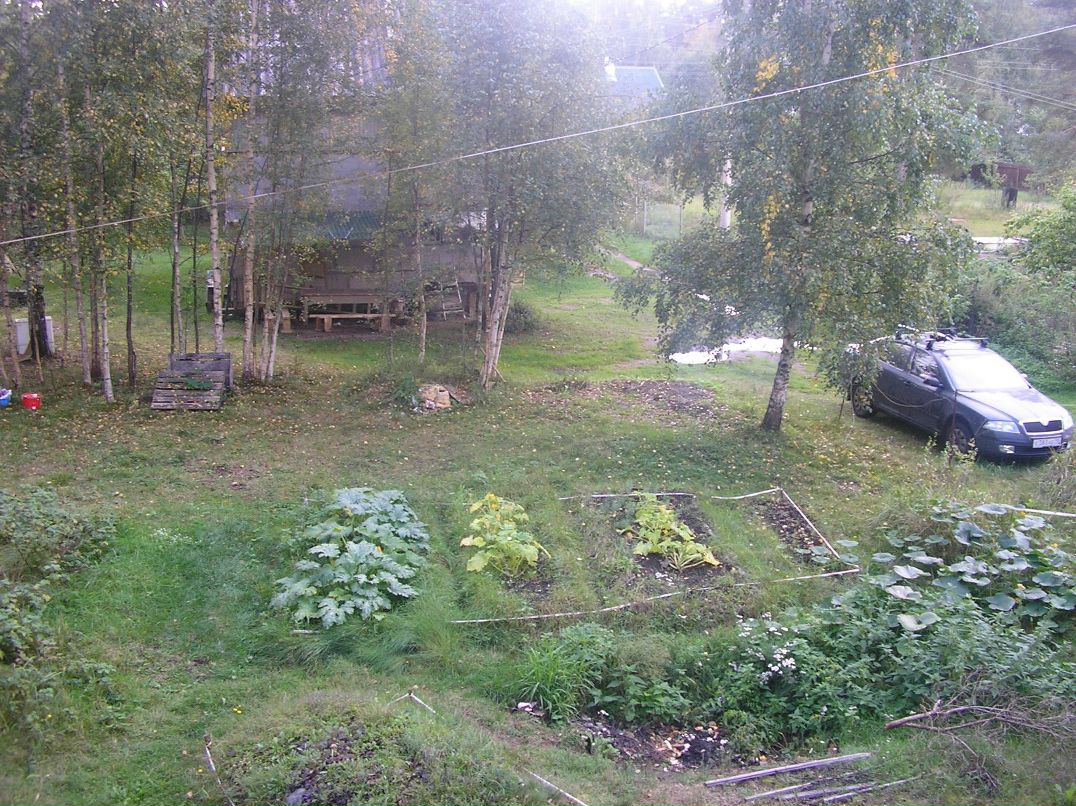 Маргарита Алексеевская | Санкт-Петербург