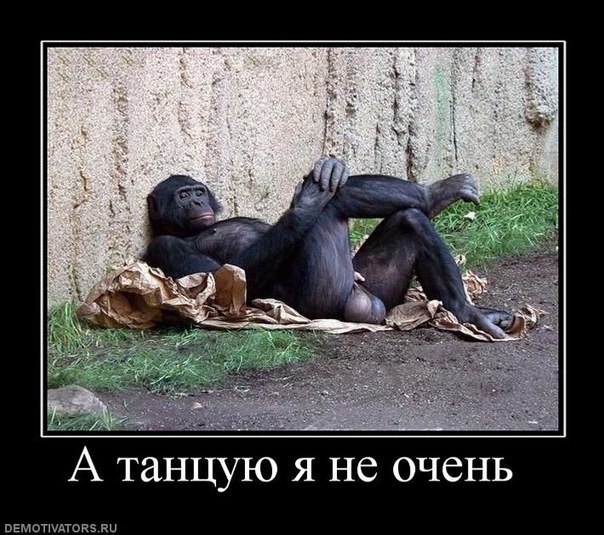 Павел Корчагин | Калининград