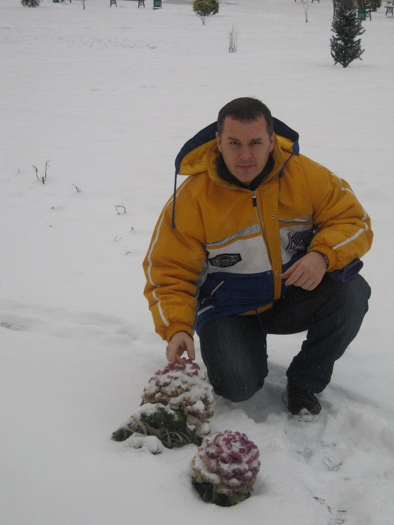 Виталий Влад | Одесса