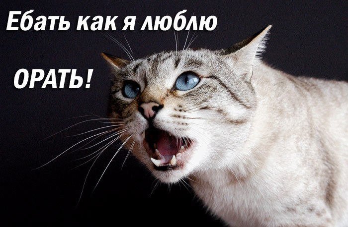 Павел Панкратов pafnat | Москва