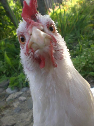 №106, Оксана Кузнецова №106, Оксана Кузнецова