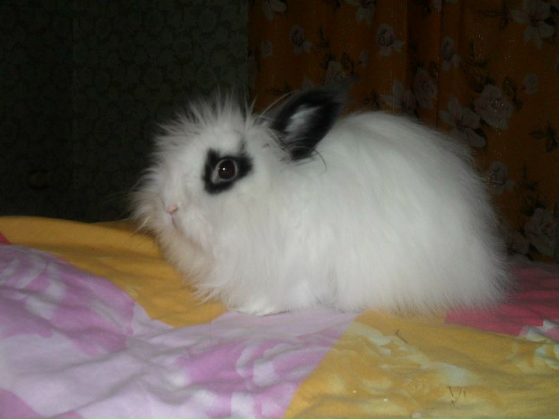 Ксения Гонзерова | Санкт-Петербург