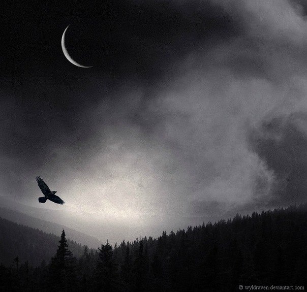 Вячеслав Липин | Усть-Кулом