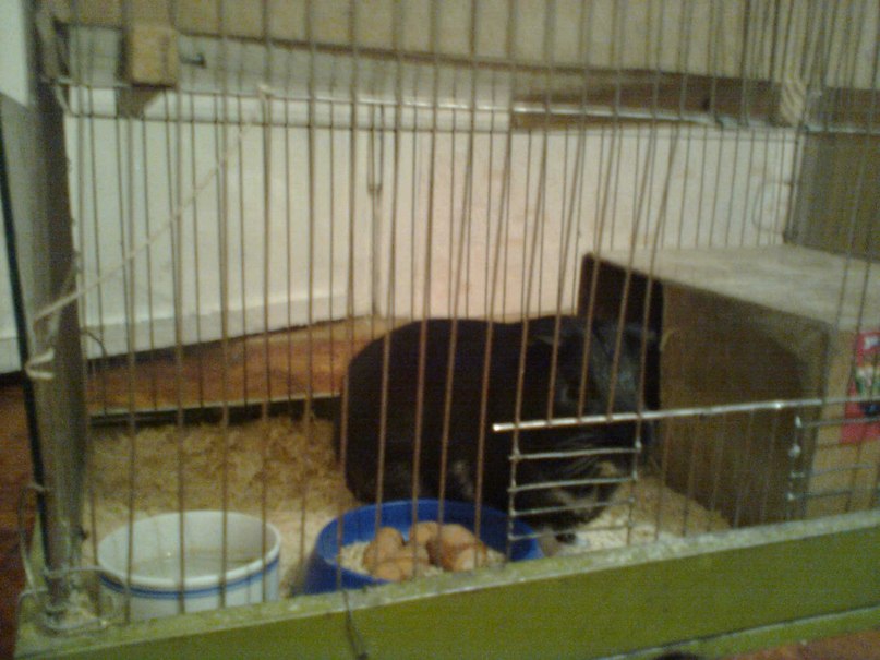 Иван Милютин | Улан-Удэ