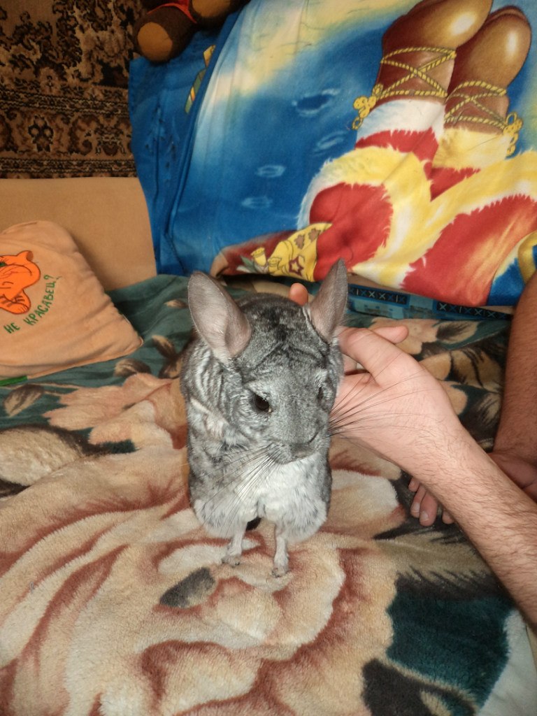 Ирина Сергеева | Пушкино