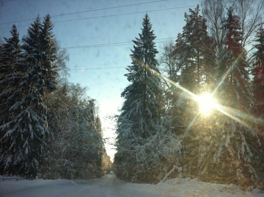 Илья Царёв Царь | Жуковский