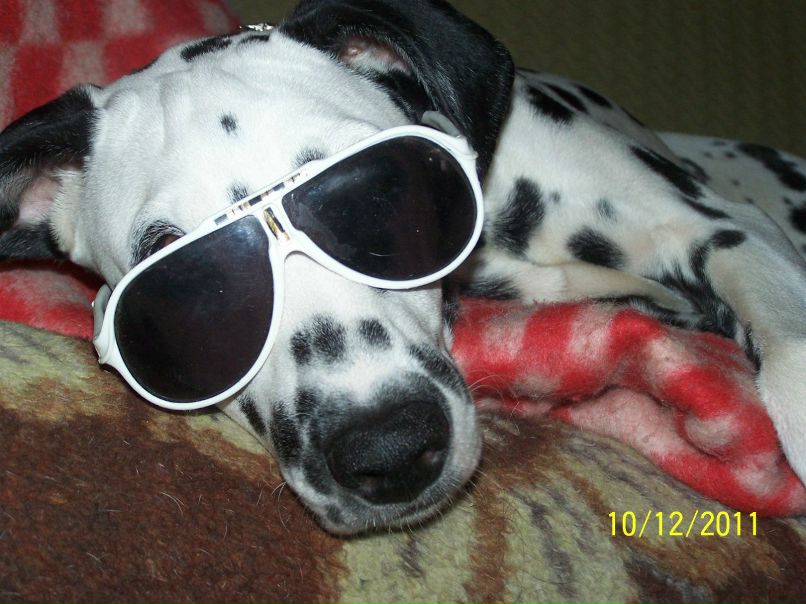 Любовь Бугеда | Одесса