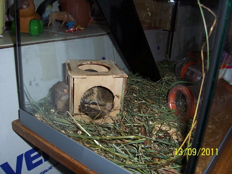 Лилия Брутова Darth_QWE | Архангельск