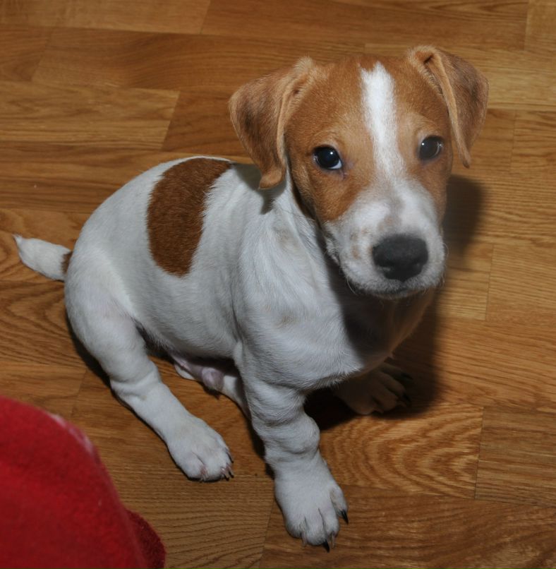 Надежда Ты | Москва