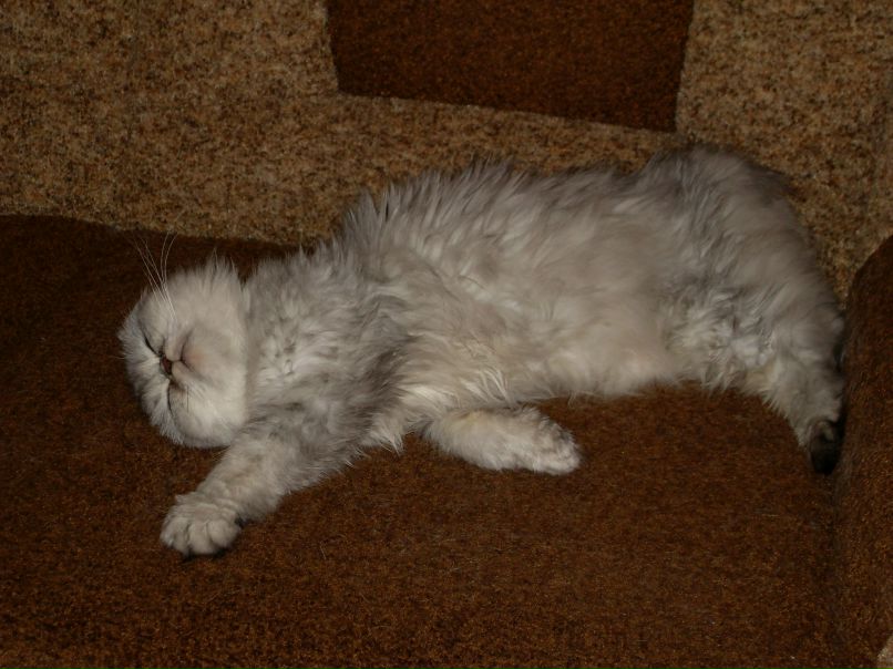 Елена Тонких | Липецк