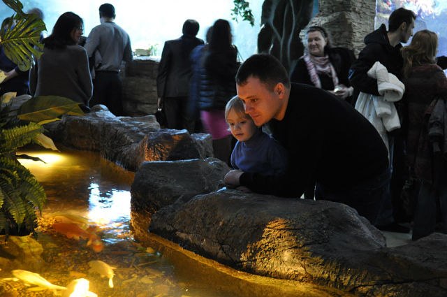 Димок Таран | 