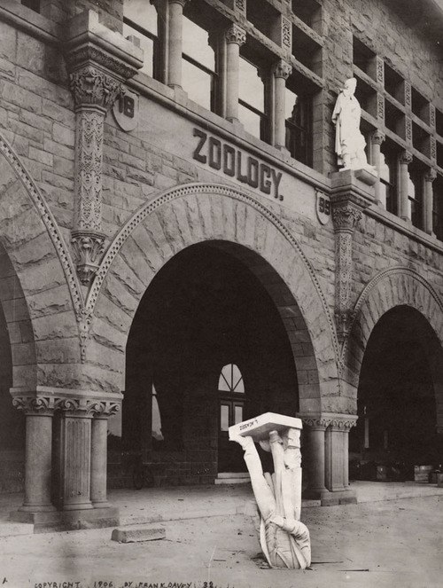 Артемий Будин | 