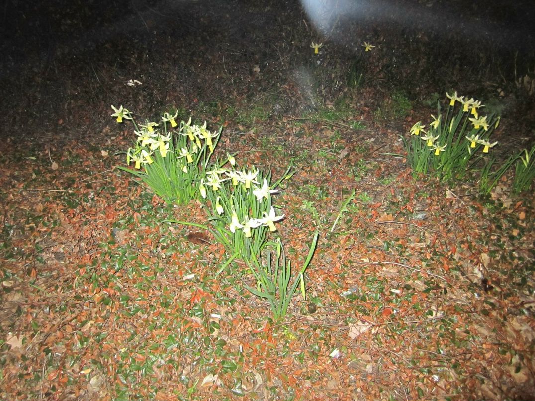 Елена Петухова | Москва