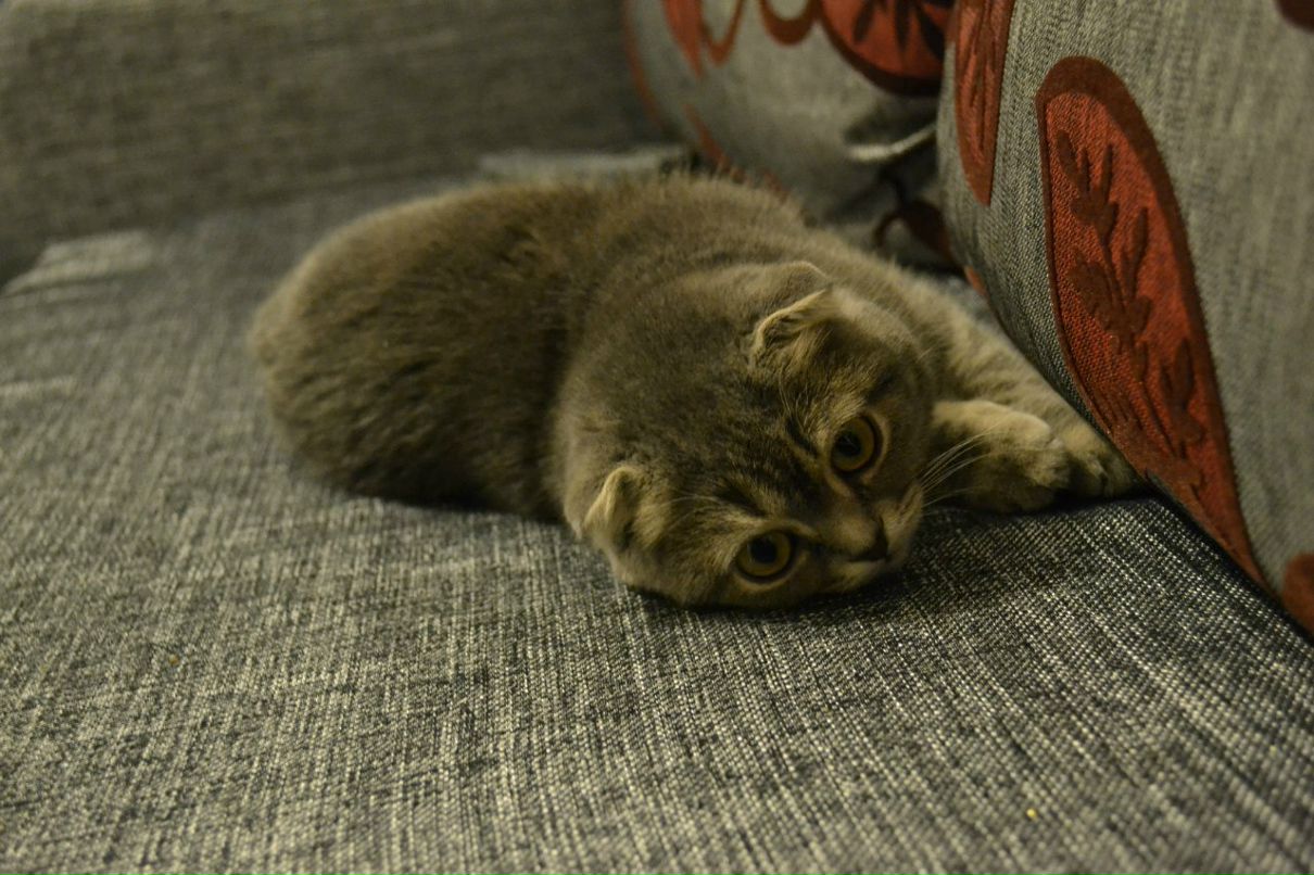 Маша Басова | Екатеринбург