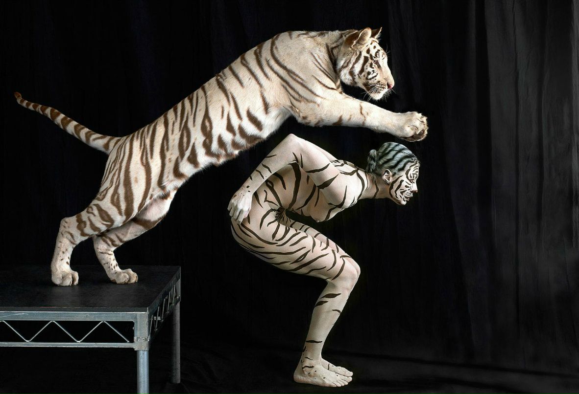 Константин Молчанов | Донецк