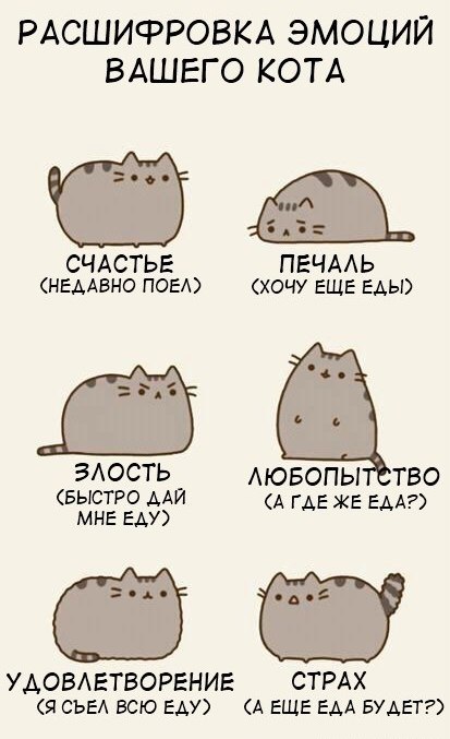 Ксюша Абрашитова Zeitfresser | Москва
