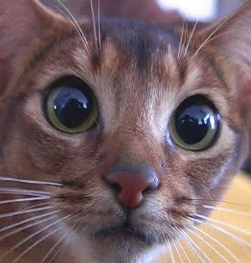 Марат Исрафилов *///* на кедах | Уфа