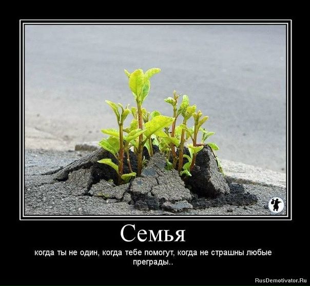 №2, Алима Ндабашидзе, Одесса №2, Алима Ндабашидзе, Одесса