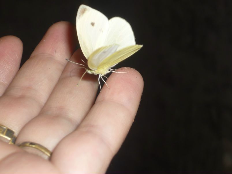 №6, Елена Абраменкова-Железнова, 45 лет, Самара, Россия №6, Елена Абраменкова-Железнова, 45 лет, Самара, Россия