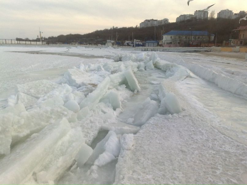 Евгений Шац (Алиев) | Одесса
