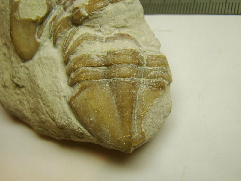 №86, Василий Фурт, 40 лет, Москва, Россия №86, Василий Фурт, 40 лет, Москва, Россия