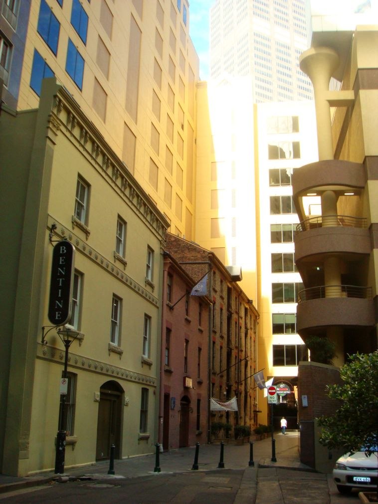 Светлана Евдокимова | Singleton