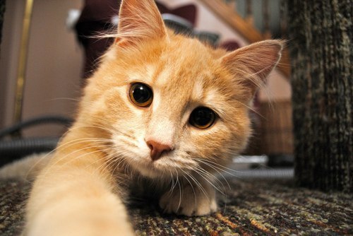 Мия Милякова ^_^ | 