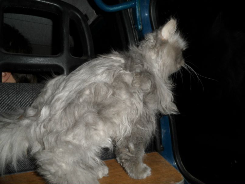 Николай Гусев | Нижний Новгород