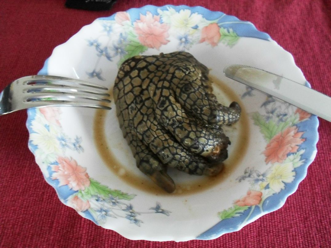 Elena Glizhevskaya | Челябинск