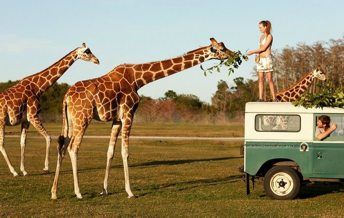 №81, Надежда Мазурок, 35 лет, Ростов-на-Дону, Россия №81, Надежда Мазурок, 35 лет, Ростов-на-Дону, Россия