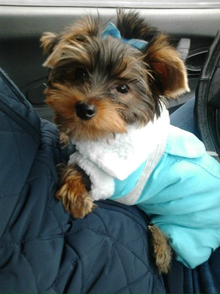 №169, Евгения Зарипова, Казань №169, Евгения Зарипова, Казань