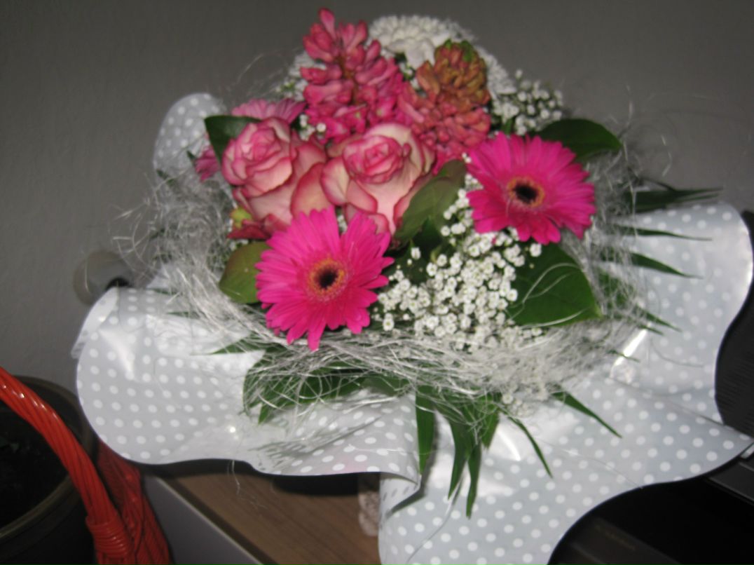 Настя Змитренко | Лоев